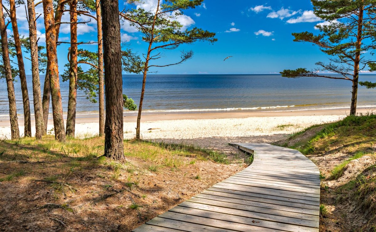 Jūrmala — priežu mežs un baltā kvarca smiltis pie Baltijas jūras, 25 km no Rīgas.