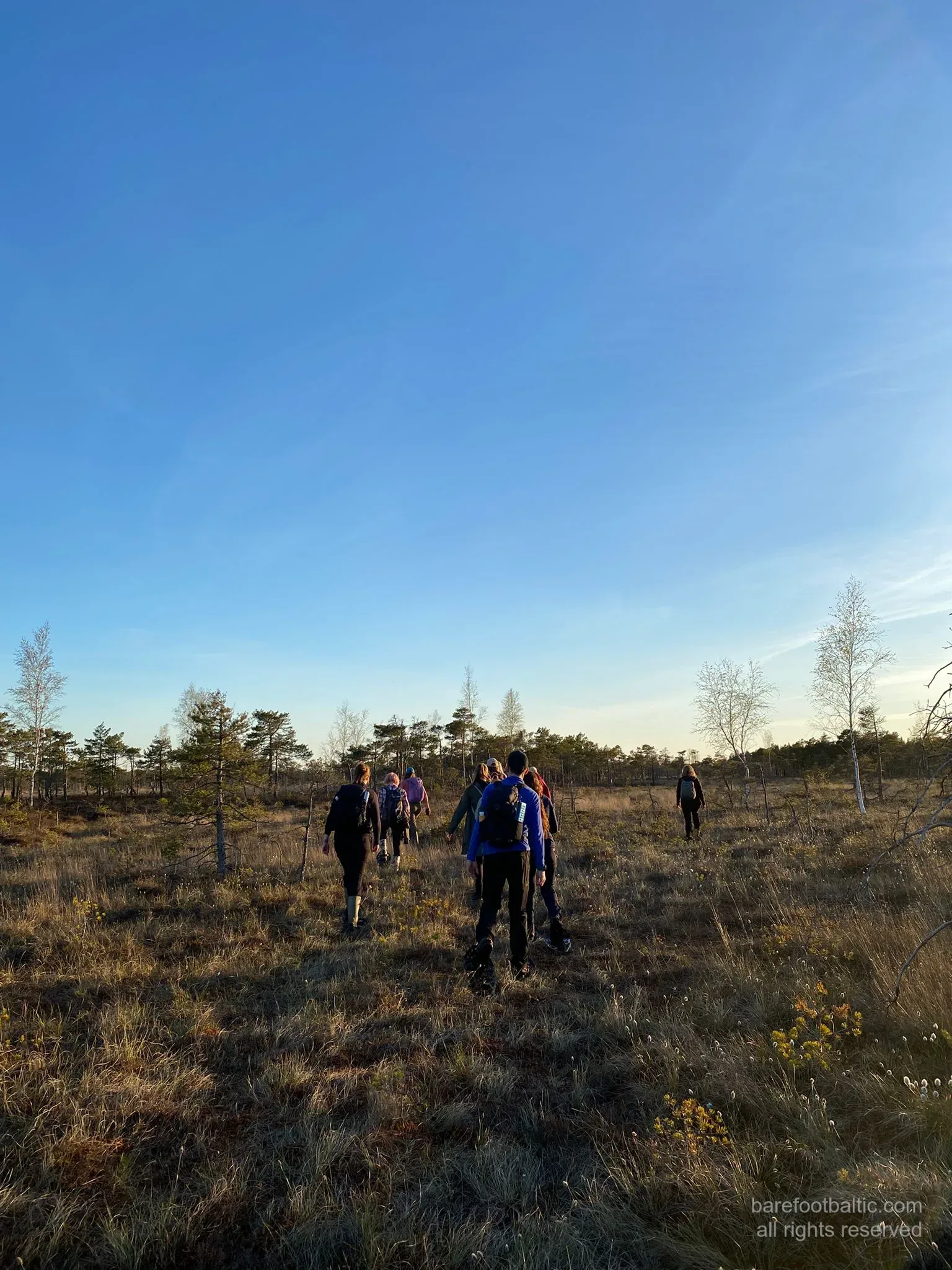 Striding across the bog in snowshoe-style bog shoes